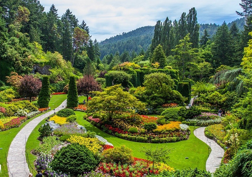 Gardening - Mashrita -Online Wholesale Nursery Gardening - Mashrita -Online Wholesale Nursery