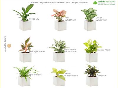 Corporate-Gift-Ceramic-Square