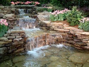 Corporate Watercaping Services