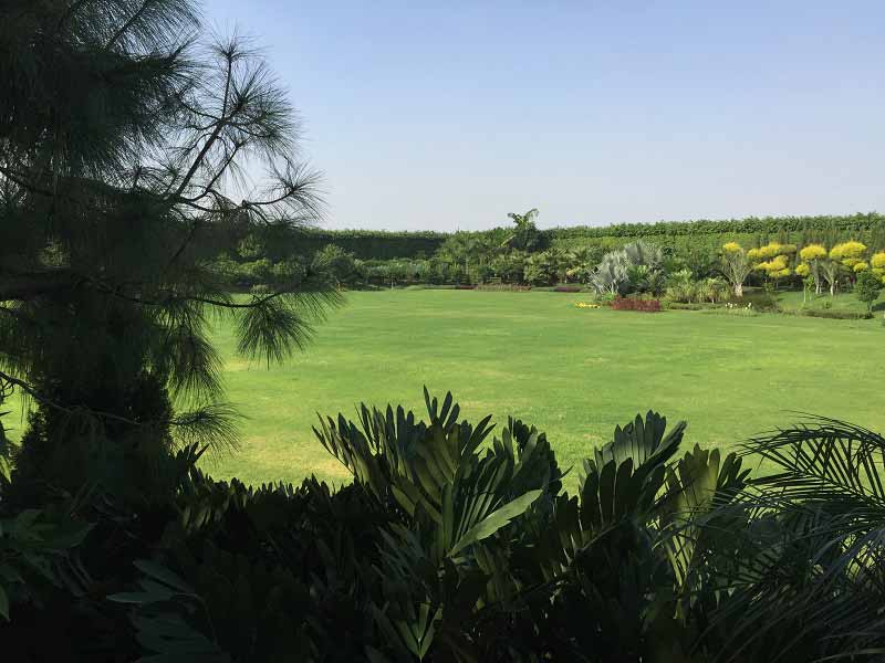 Farmhouse Landscapeing Gurgaon Farmhouse Landscapeing Gurgaon