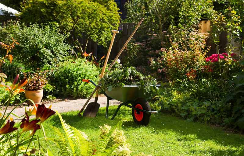 Garden Maintenance Services Gurgaon -Delhi, Gurugram, Noida, All over India Garden Maintenance Services Gurgaon -Delhi, Gurugram, Noida, All over India