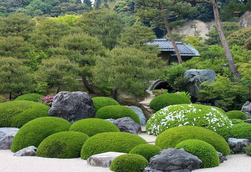 Japanese Concept Garden Japanese Concept Garden
