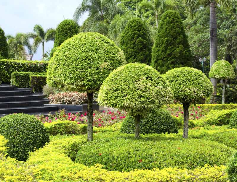 Landscape Maintenance Services Gurgaon, Delhi, Gurugram, Noida, All over India Landscape Maintenance Services Gurgaon, Delhi, Gurugram, Noida, All over India