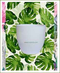 Fiber-Planter-White-12-Inch-(Cup-Shaped)_Mashrita