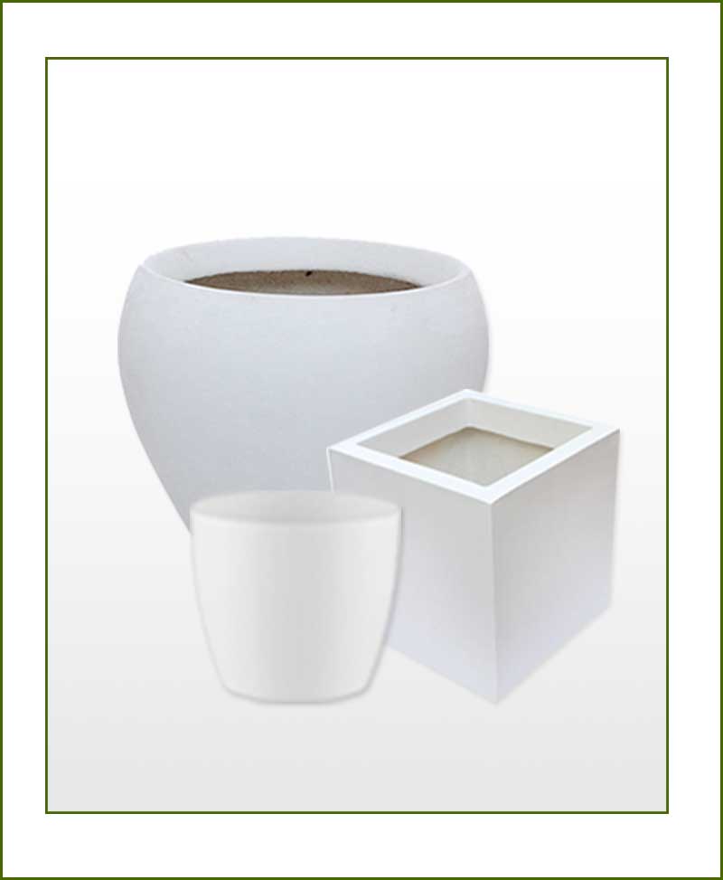 Fiber Planters
