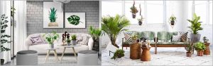 Planning Indoor Plantscaping – Indoor Plantscaping Design Considerations