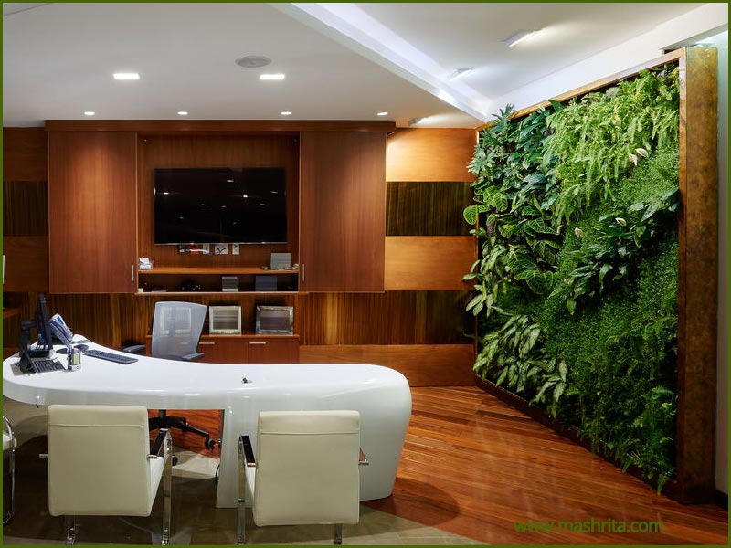 Vertical Garden Ghaziabad