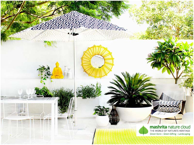Roof Garden: Terrace Garden Services Delhi Gurgaon Noida India Roof Garden: Terrace Garden Services Delhi Gurgaon Noida India