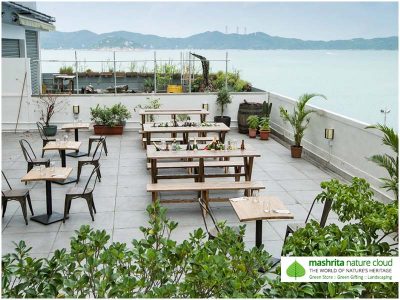 Terrace Garden India