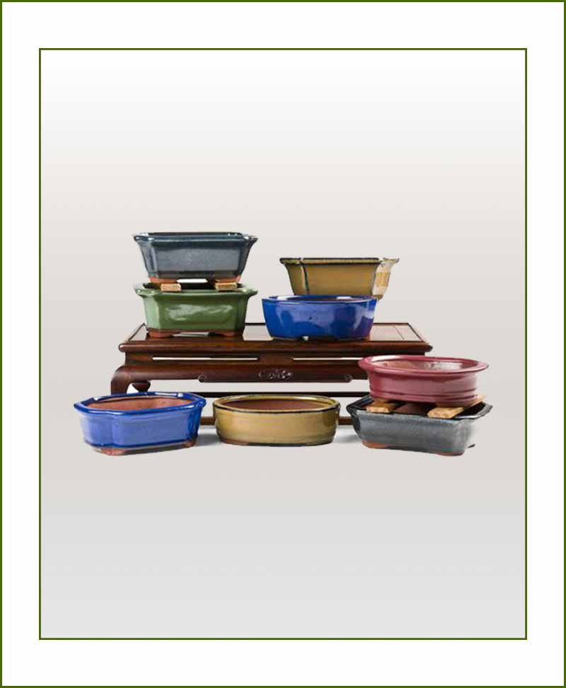 Bonsai Tray Planters