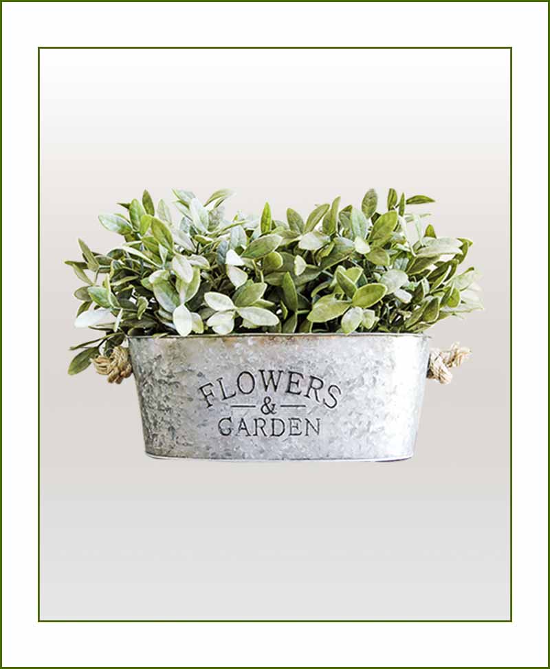 Metal Planters