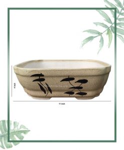 Ceramic Bonsai Tray Planter - Matt Semi Square 11 inch