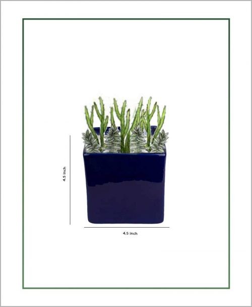 Ceramic Square Table Top Planter Glazed Navy Blue (4.5-inch)