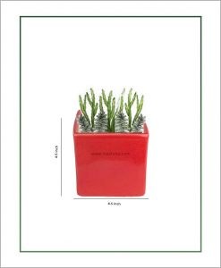 Ceramic Square Table Top Planter Glazed Red (4.5-inch)
