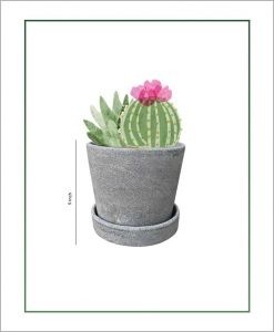 Ceramic Oval Table Top Pot with Plate Matt Concrete 5 inch