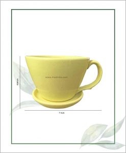 Ceramic Cup with Tray Table Top Planter Pastel Green 7 inch