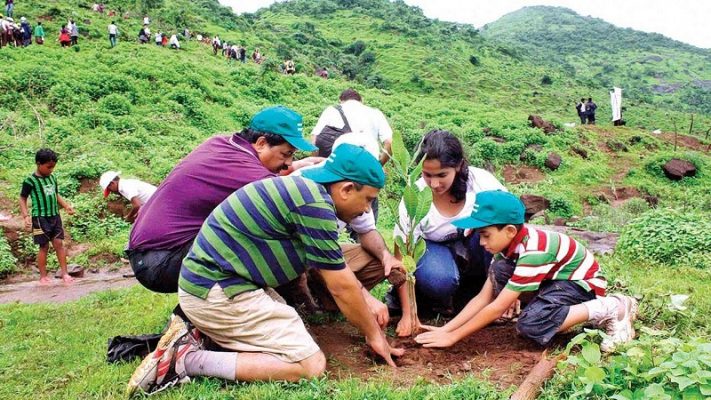 Corporate Tree Plantation Services Delhi, Gurugram, Noida, All over India