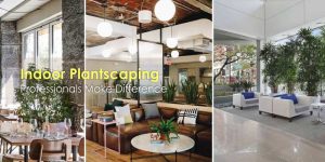 Interior Plantscaping
