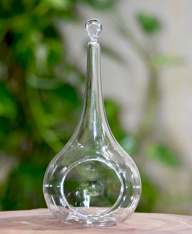 Tear Drop with Long Stem Hanging Terrarium 16cm