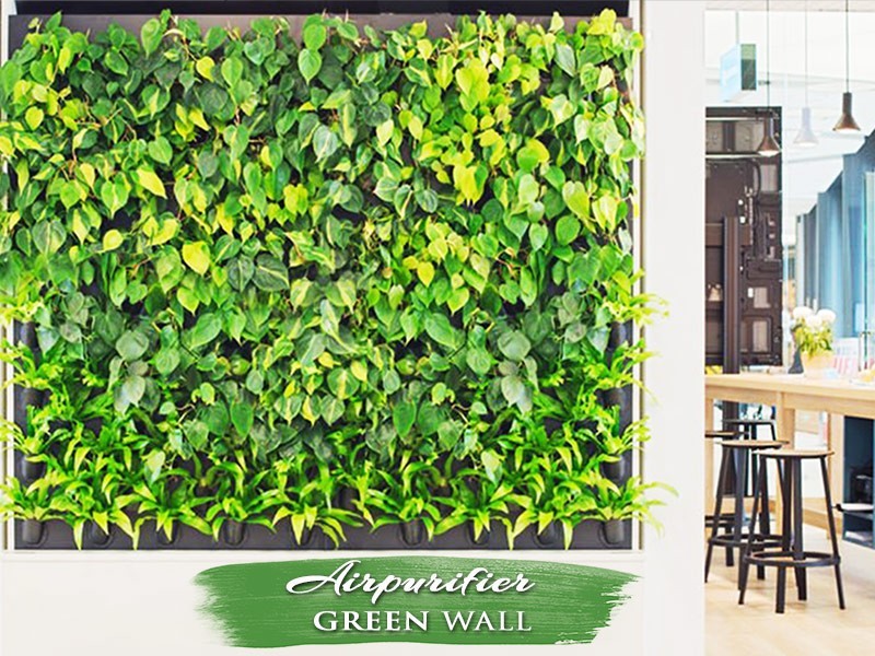 Air Purifier Green Wall Small