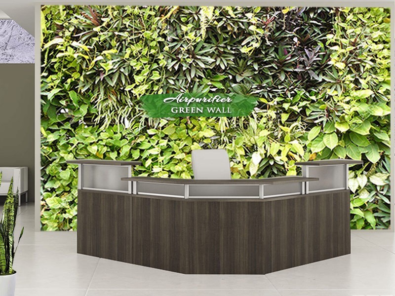 Air purifier green wall office