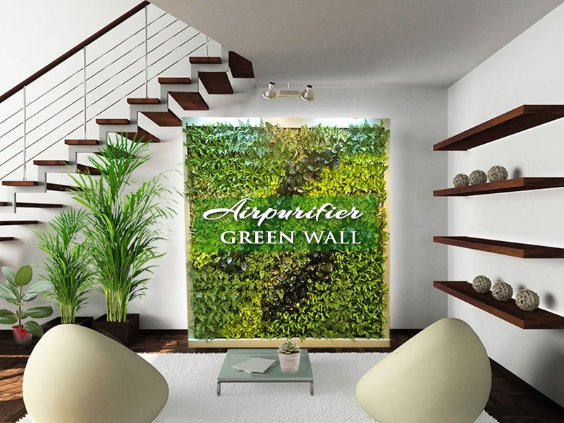 Air purifier green wall indoors