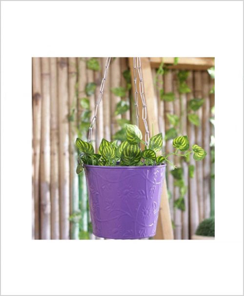 Buy Metal Hanging Bucket Planter Puple