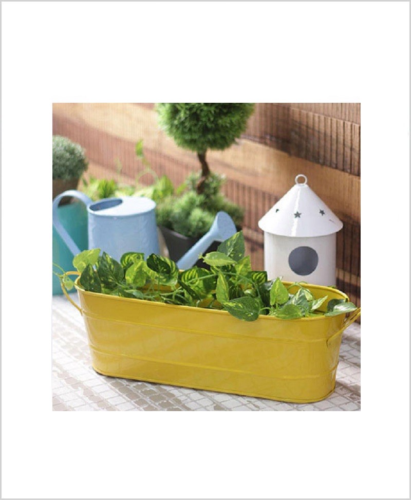 Metal Oval Planter Big Yellow