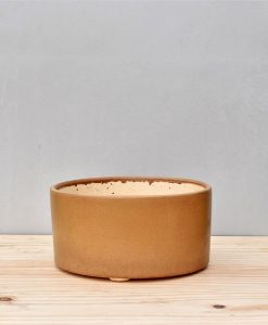 Ceramic Bonsai Tray Round 10 inch Brown 2