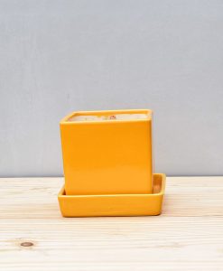 Ceramic Cube 4 inch with Plate Mustard Yellow 1