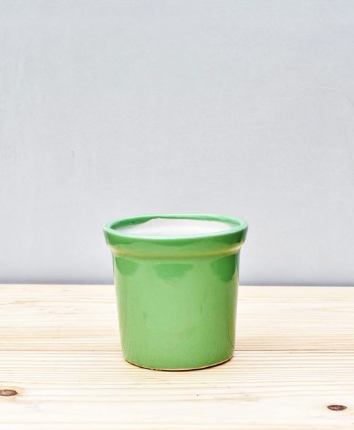 Ceramic Rim Pot 4 inch Parrot Green 1