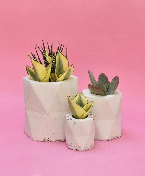 Cluster of Geometric Concrete Planter Hexagon