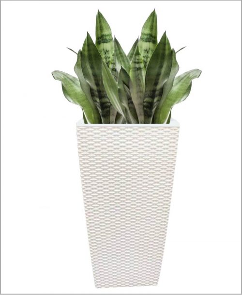 Weaving Shape Fiber Planter 24 inch, Indoor - Outdoor Planter