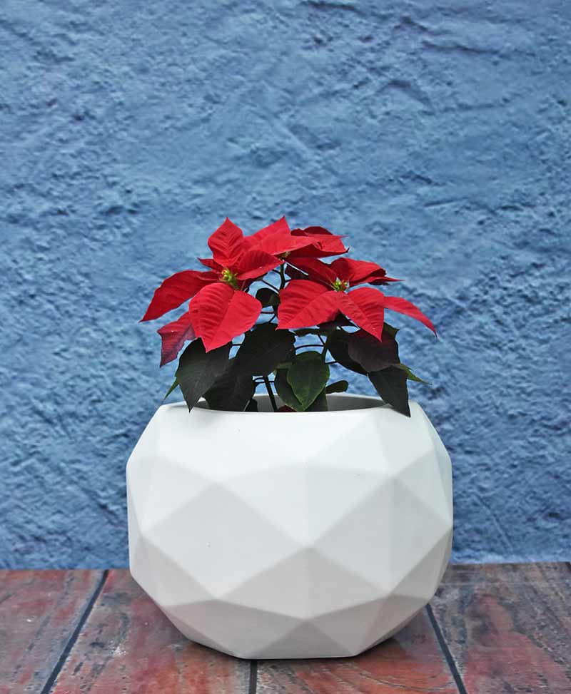 Geometric Shape Polyhedron Planter 18 inch, Indoor – Outdoor Fiber Planter