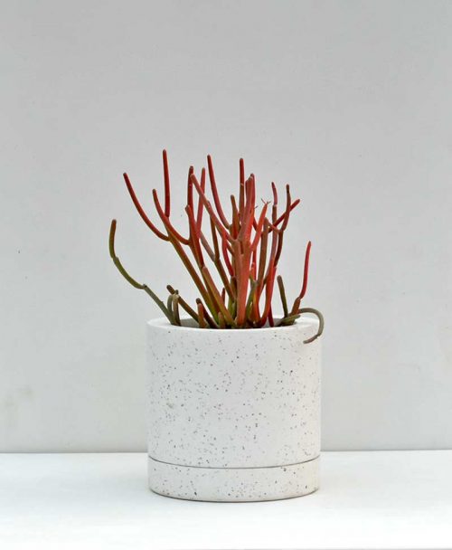 Geometric Concrete Planter Cylinder 6 inch