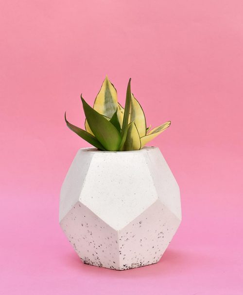 Geometric Concrete Planter Dodecahedron Large