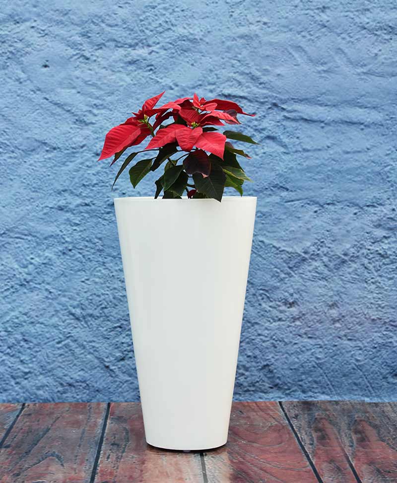 Glass Shape Planter 24 inch, Indoor - Outdoor Fiber Planter