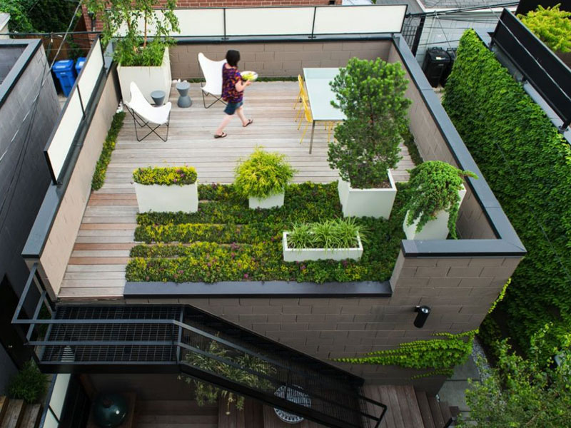 Green Roof Garden
