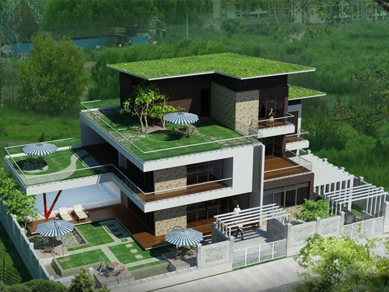 Green Roof India