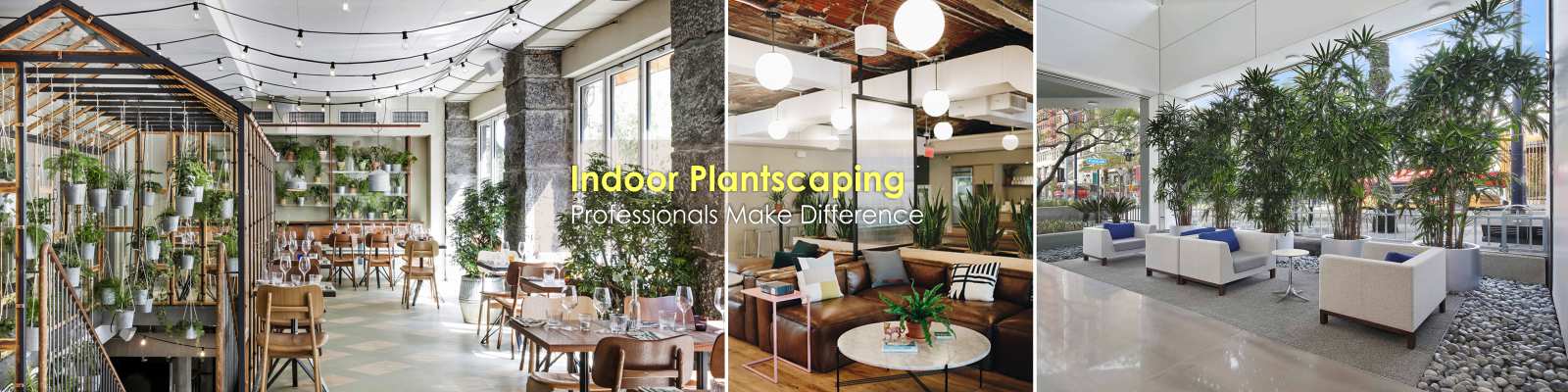 Indoor Plantscaping Services Delhi, Gurgaon, Noida