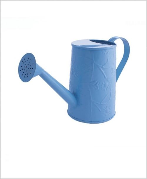 Metal Watering Can 1000ml Blue