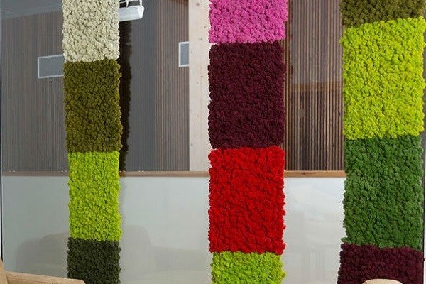 Moss wall colors