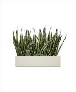 Rectangular Fiber Box Tray Sleek Planter 24 inch