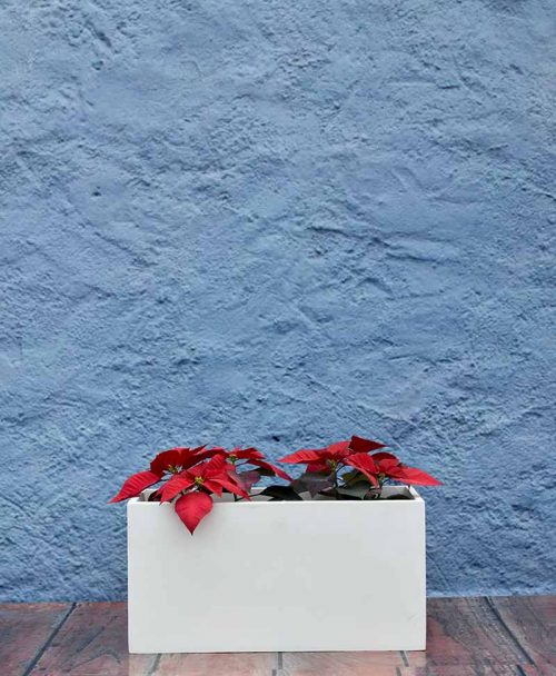 Rectangular Planter 24 inch