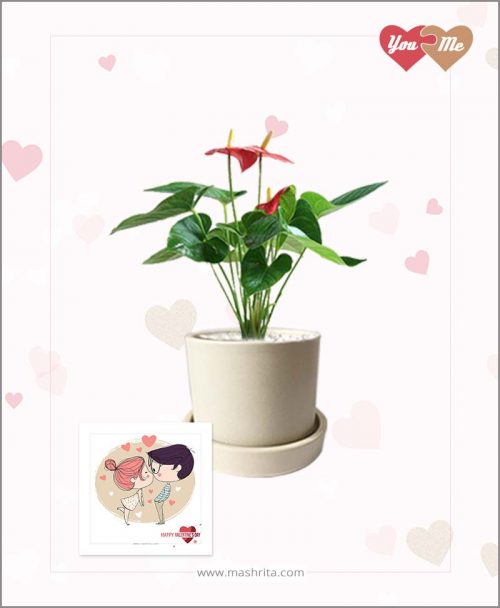 Anthurium Red in Off White Ceramic