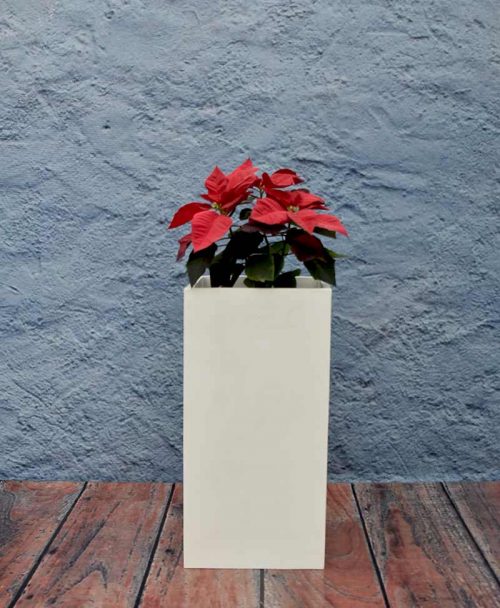 Squarish Planter 30 inch