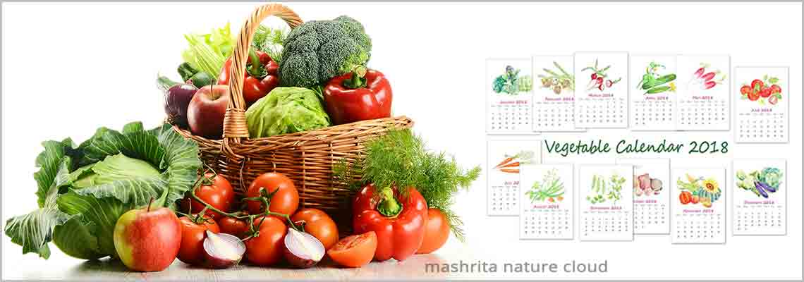 Vegetable Growing Season Chart India