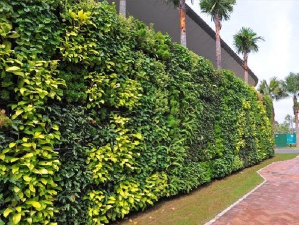 Vertical Garden Project 2