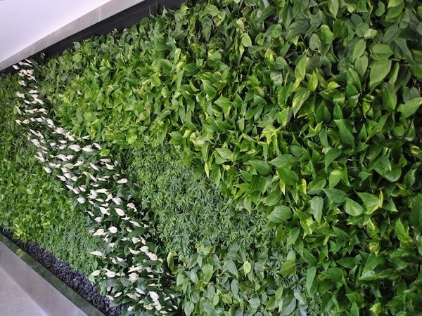 Vertical Garden Project 3