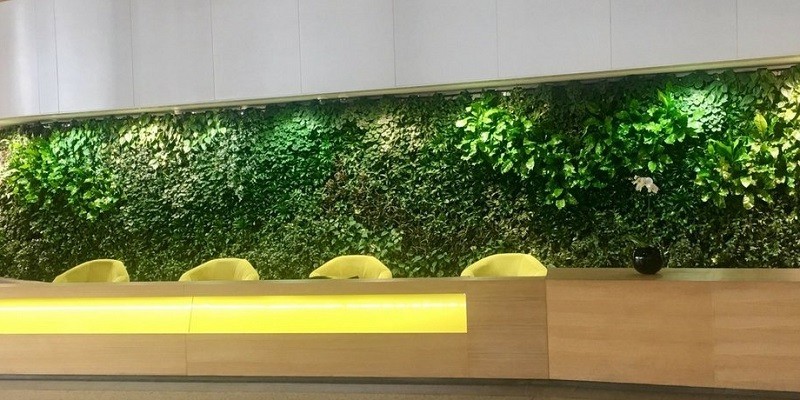 Vertical Garden Projects